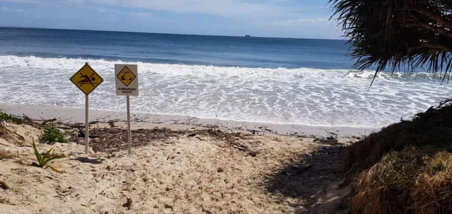 High tides and debris have inundated the main beach of Byron Bay. Felled trees are left on the beach ‘to offer some small degree of protection from waves’.