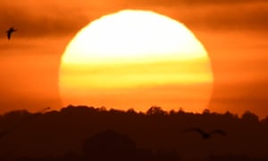 Australia is having an extreme heatwave, with daytime maximum temperatures forecast to extend up to the mid-40s in parts of South Australia, Victoria and NSW
