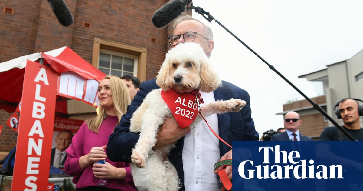 From Jenny Morrisons intriguing fashion choice to Toto the first dog: 10 lighter election moments