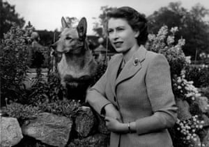 1952: Elizabeth at Balmoral Castle with one of her corgis