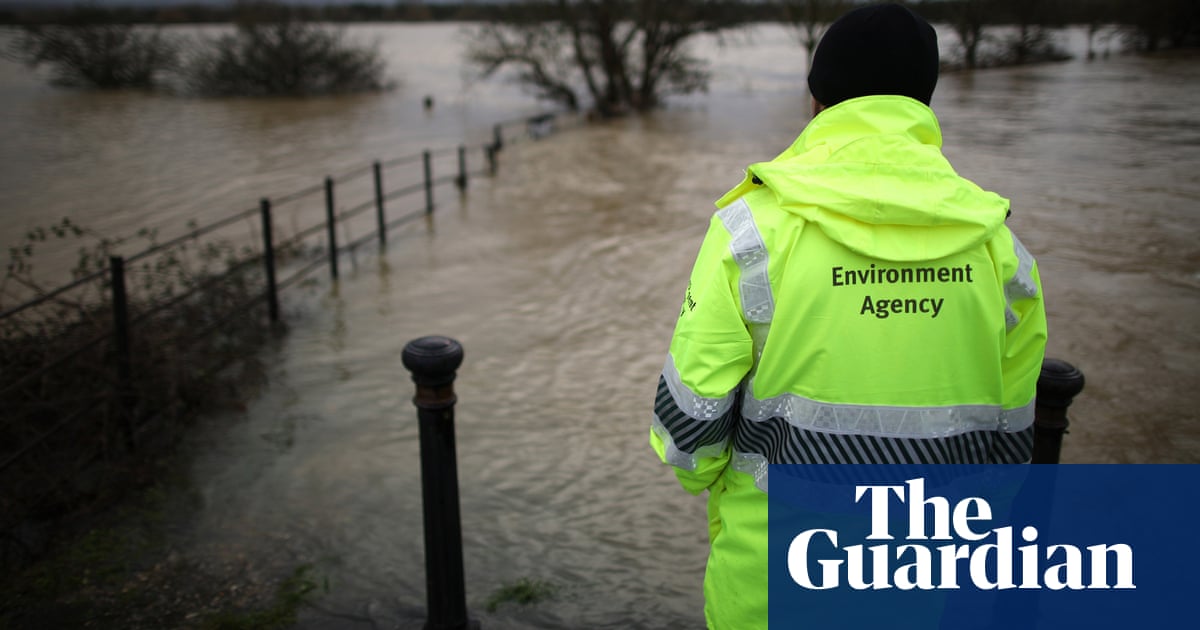 MPs condemn raid on hundreds of environment staff to work on Brexit