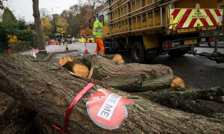 A tree is felled by an Amey contractor on Rustlings Road: three people were arrested for protesting.
