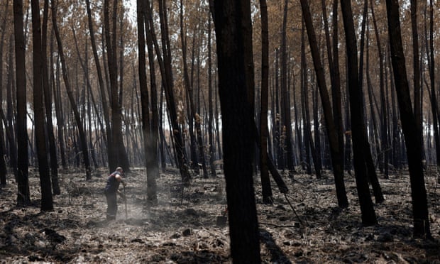 Un bombero intenta apagar un incendio terrestre en Lochats, en la región de Gironde.