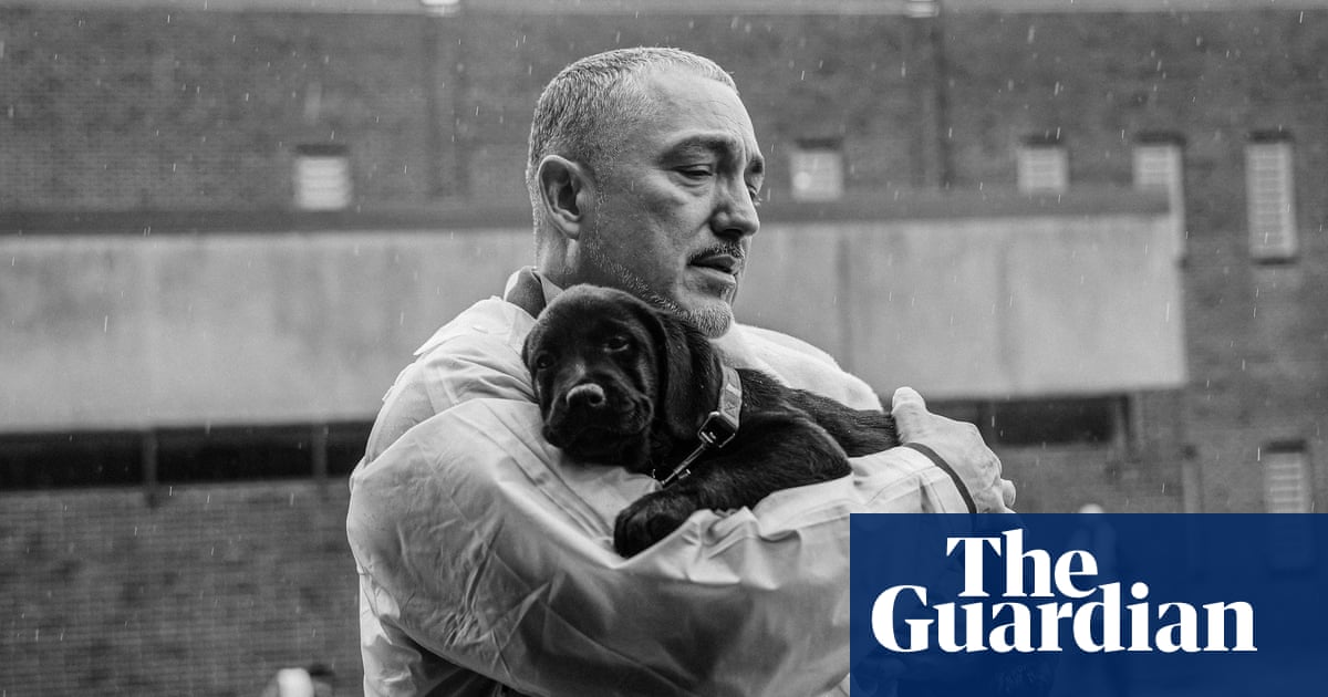 ‘You look at it and you just feel better’: this year’s Photoville festival highlights