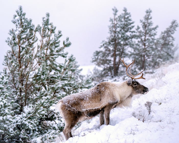 Wintry conditions to last in coastal areas after up to 7cm of snow fell in parts of UK