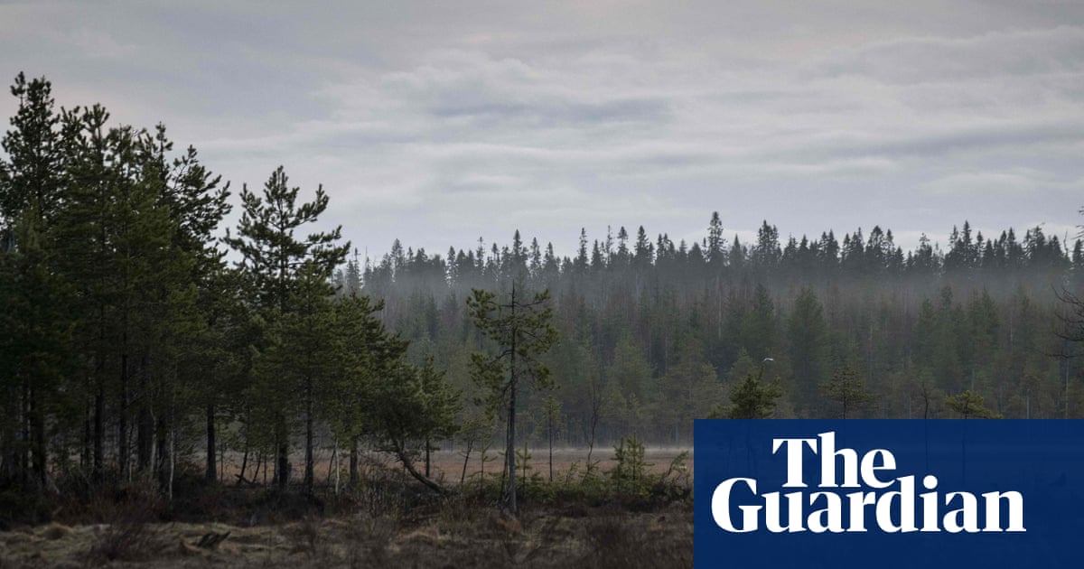 Tree loss due to fire is worst in far northern latitudes, data shows