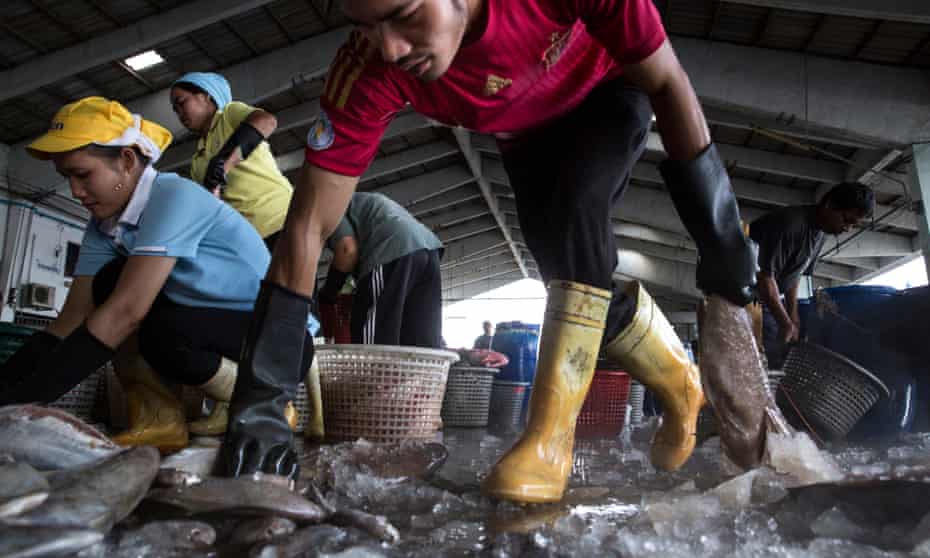 Thai workers help to sort fish after it was unloaded from a boat