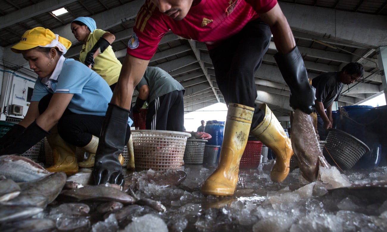 Workers help to sort fish