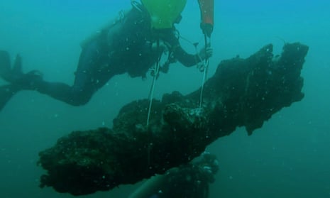 Divers bring a stump to the surface from the seafloor in the underwater forest.