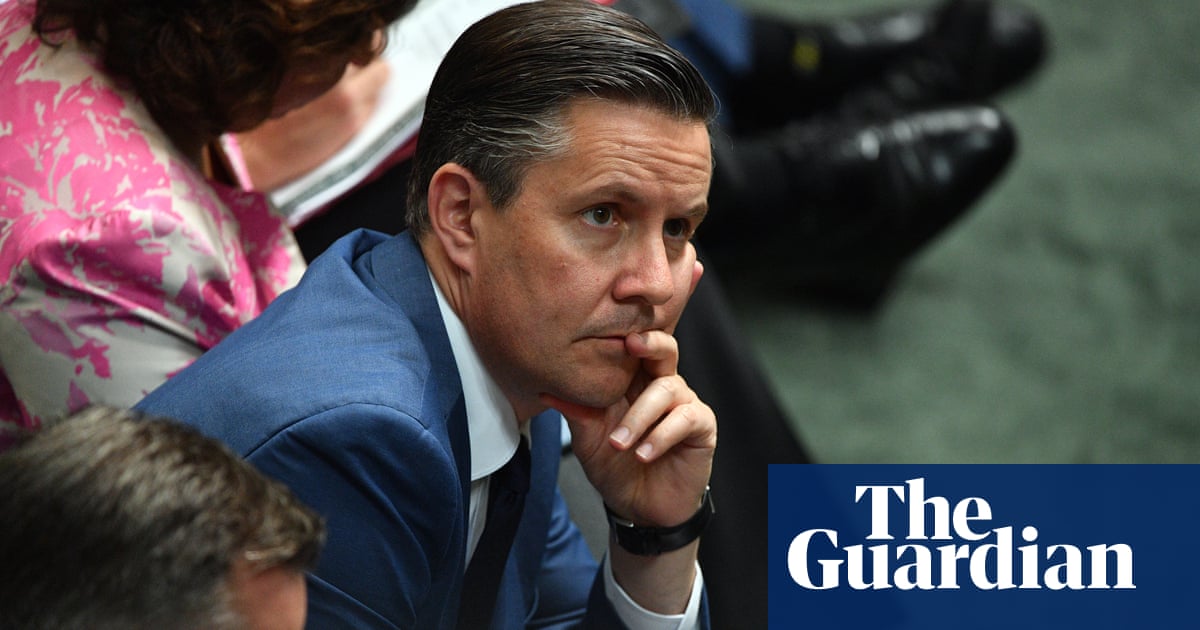 Mark Butler condemns Labor frontbencher's plan to adopt Coalition climate policy - The Guardian