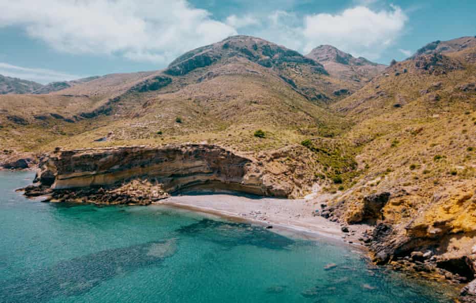 Cala de la rueda de avispa