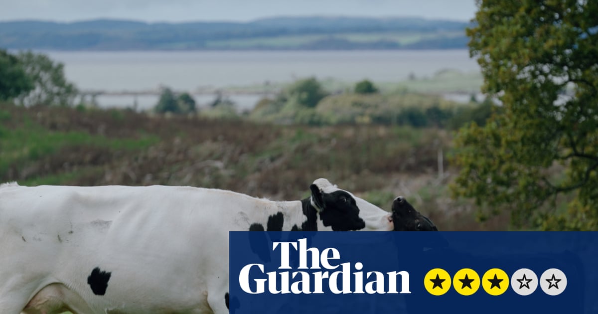 Ανασκόπηση Dairy Story – δίνοντας στις αγελάδες και στα μοσχάρια μια πιο ευτυχισμένη ζωή μέσω της προοδευτικής καλλιέργειας