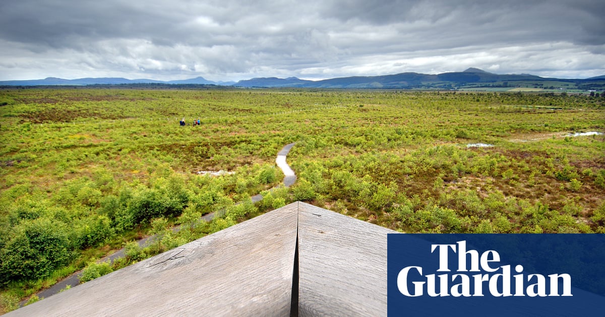 Dank, ancient and quite fantastic: Scotland's peat bogs breathe again | Scotland | The Guardian