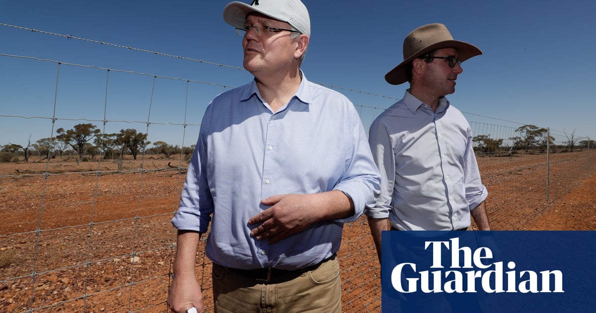 'No real appetite': former farmers chief lashes ministers over climate link to drought