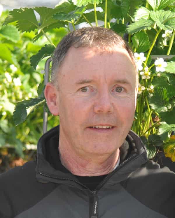 John Greene, owner of Greens Berry Farm in County Wexford, Ireland
