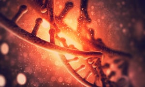 Instead of cutting right through the double strand of the DNA helix like Crispr, the new technique changes single letters, or bases, of the G, T, A and C that make up the genetic code.