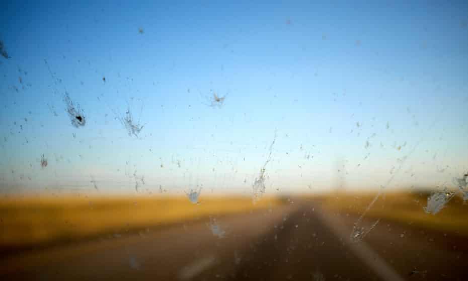 Dead insects on a car windshield in Wyoming, US