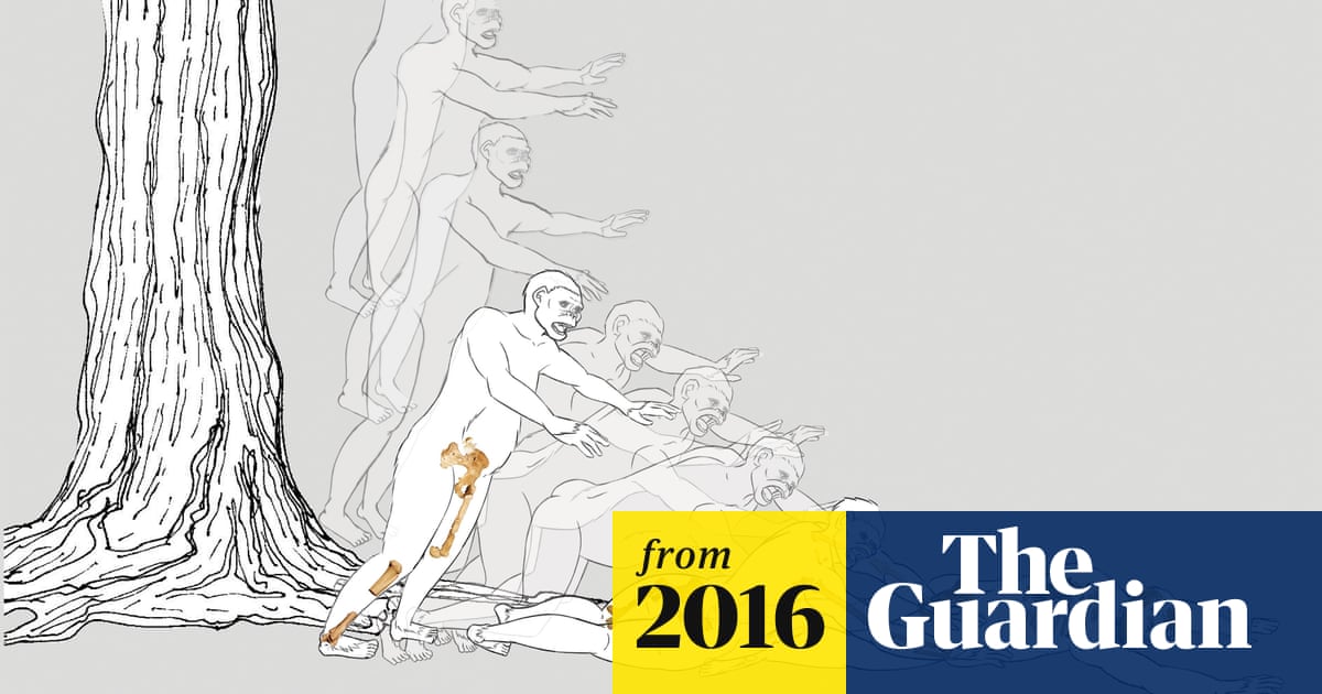 www.theguardian.com
