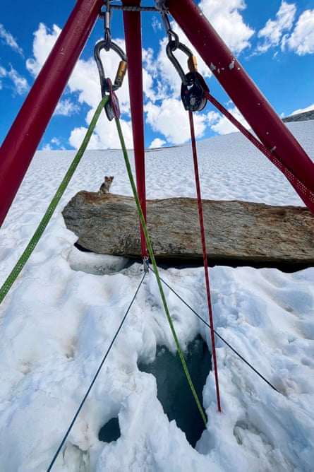 the tiny dog sits on a block of wood in the snow next to the hole; a metal structure with ropes and pulleys has been set up over the hole.