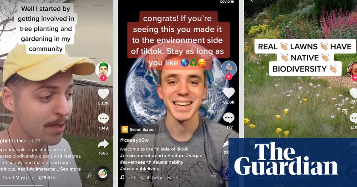 Green teen memes: how TikTok could save the planet ...