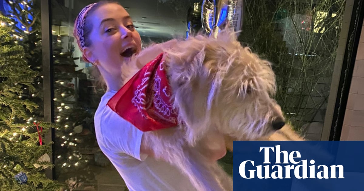 ‘Meet Barnaby Joyce!’: Amber Heard names dog after Australia’s deputy PM