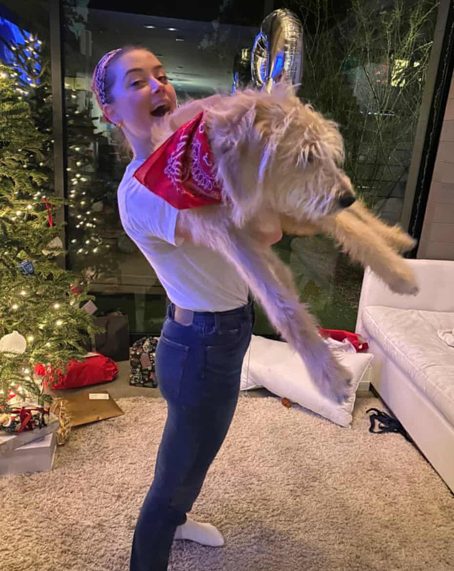 Amber Heard with the dog she has named Barnaby Joyce