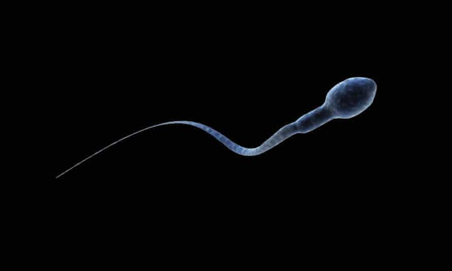 Swan offers advice on how to protect themselves from damaging chemicals and urges people to ‘do what we can to safeguard our fertility, the fate of mankind, and the planet’.