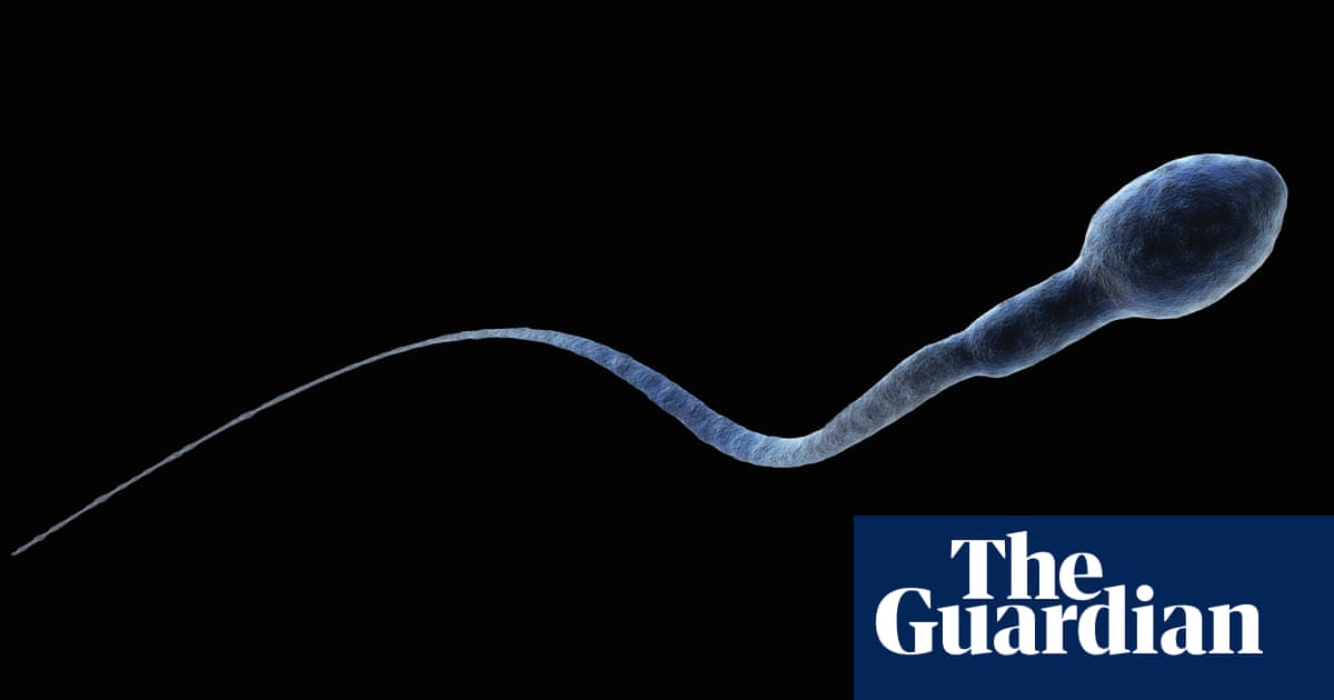 Humans could face reproductive crisis as sperm count declines study finds – The Guardian