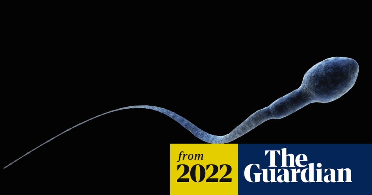 Humans could face reproductive crisis as sperm count declines, study finds - Fertility problems | The Guardian