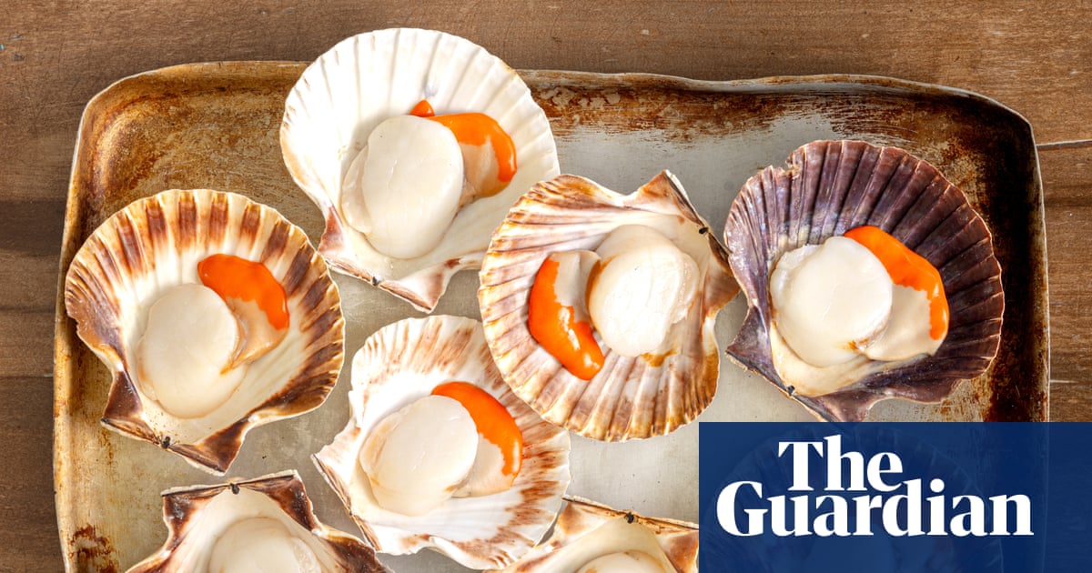 Curb the cod, park the prawns: top chefs on how to swap out the big five' seafood