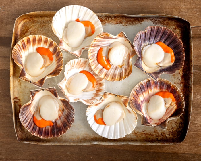 Curb the cod, park the prawns: top chefs on how to swap out the ‘big five’ seafood