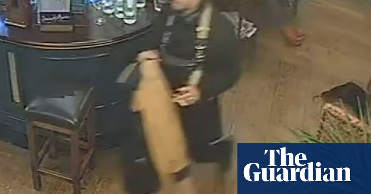 Metropolitan police appeal for help to recover 280-year-old violin worth 150,000