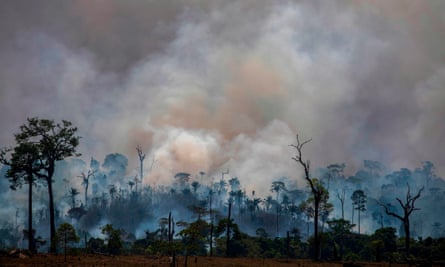 Forest fires in Altamira, Para state, Brazil.
