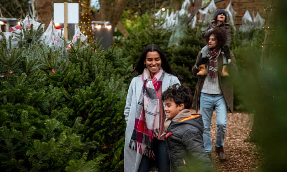 Buying a Christmas tree