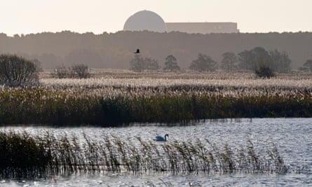 RSPB Minsmere in Suffolk with the existing Sizewell power station in the distance. The new plant would be built nearby.