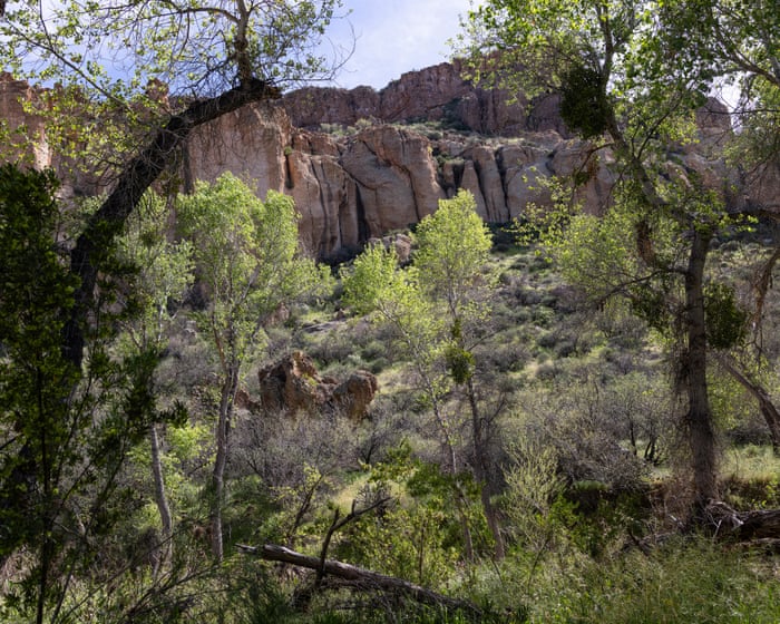 Arizona man pleads guilty after illegally living in forest for years among ‘1,000lbs of trash’