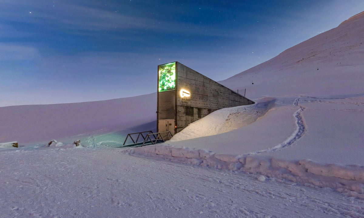 Svalbard's mysterious 'doomsday' seed vault offers glimpse inside with  virtual tour | Plants | The Guardian