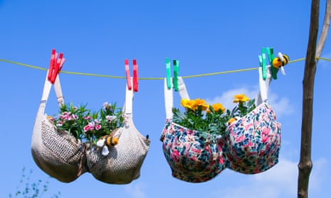 Stock image of bras hanging on a clothes line with flowers in the cups