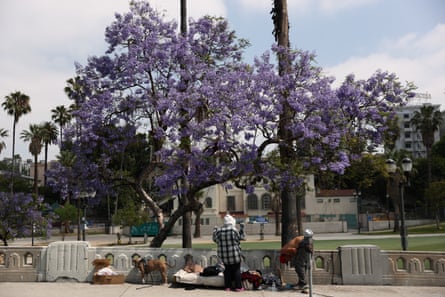 people in a park