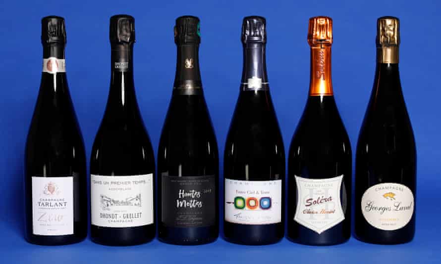 Bubbleshop festive case