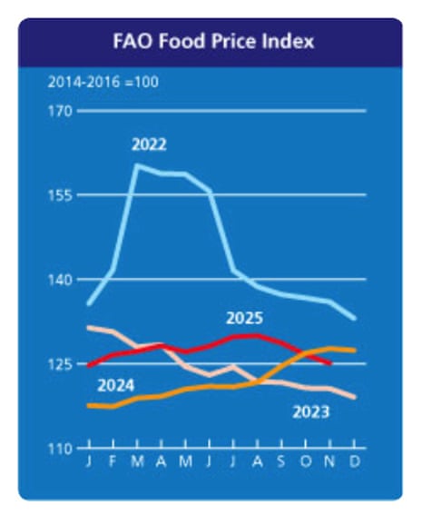 A chart showing world food prices