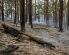 Australia news live: authorities warn Otways bushfire could ‘run again’ as temperatures in Victoria’s north set to soar