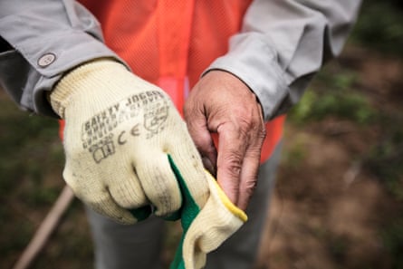 Ho Da The puts on safety gloves, required to meet the FSC certification standards.
