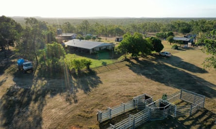 Artemis Station homestead, Cape York, has long been a stronghold of the threatened golden-shouldered parrot