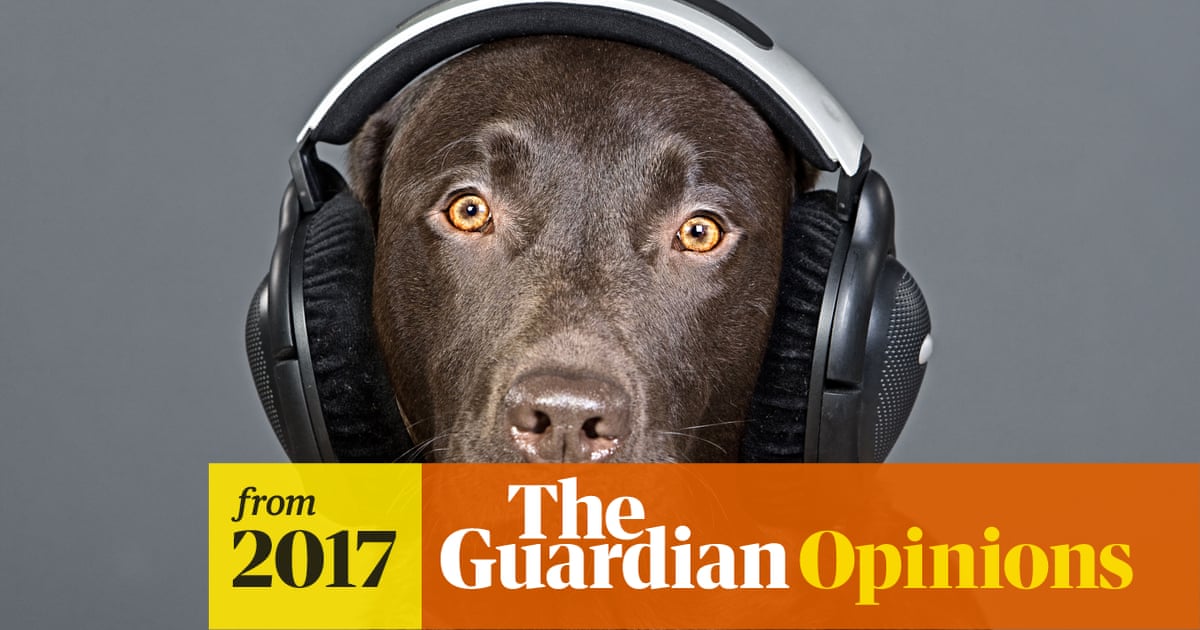 Dogs Don T Like Reggae They Love It 10 Top Tracks To Play For Your Best Friend Dogs The Guardian