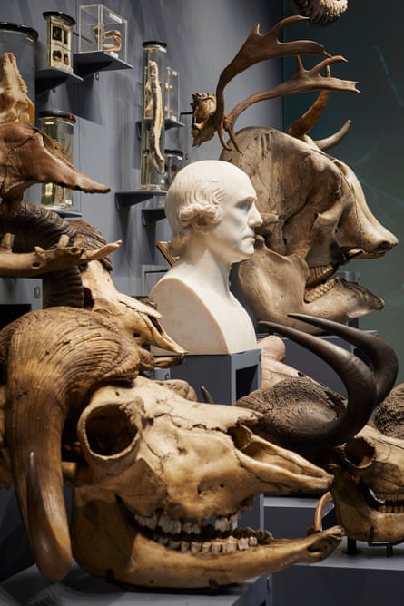 Ghoulish Noah’s Ark … the new Hunterian Museum.