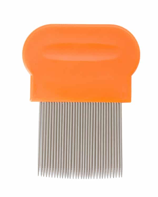 Itchy And Scratchy Why The Battle Against Head Lice Just Got Serious Health Wellbeing The Guardian Itchy And Scratchy Why The Battle Against Head Lice Just Got Serious Health Wellbeing The Guardian