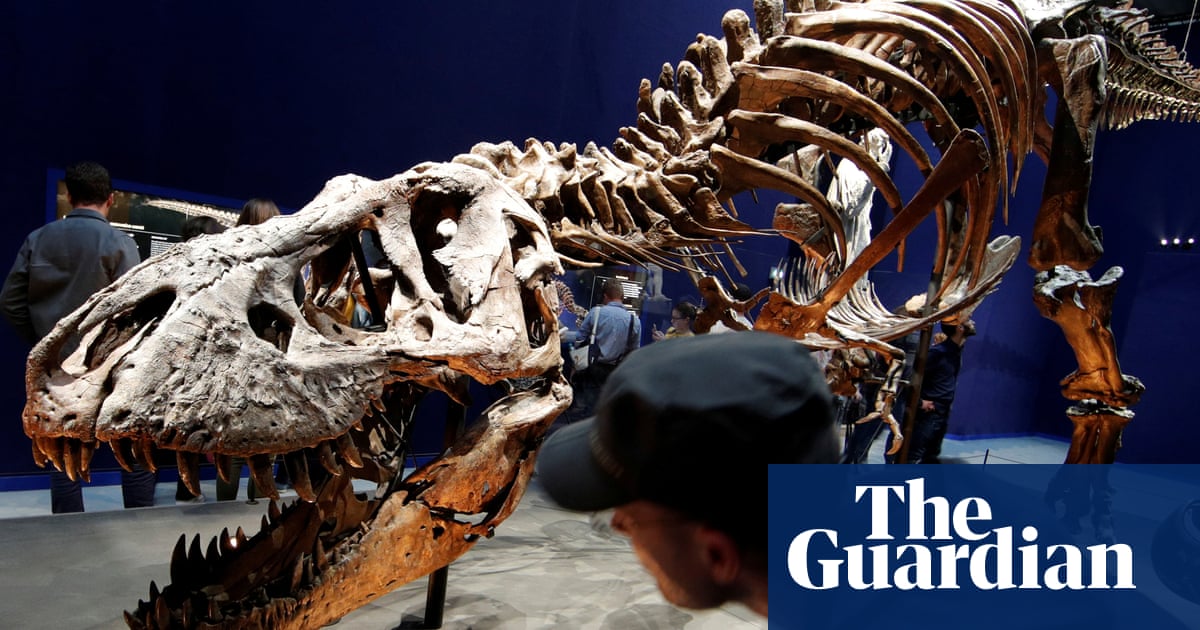‘That’s a lot of teeth’: 2.5 billion T rex walked the ...