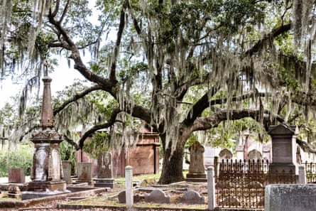 Tombstones in historic Magnolia Cemetery in Charleston, South Carolina.