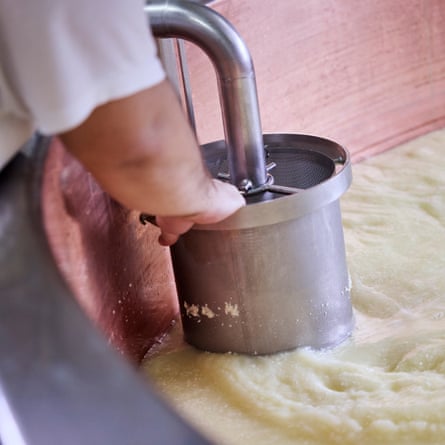 Part of the process of making Gruyère cheese.